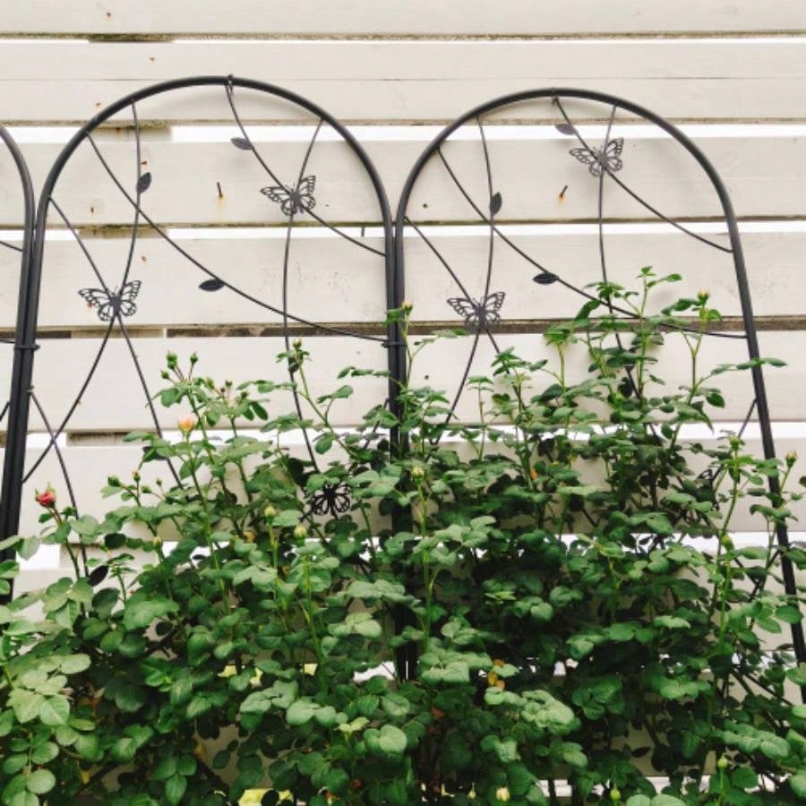 4 Pack Metal Garden Trellis 86. 19. Rustproof Trellis Climbing Plants Outdoor Flower Support Deco Black