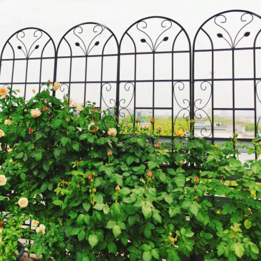 4 Pack Metal Garden Trellis 86. 19. Rustproof Trellis Climbing Plants Outdoor Flower Support Black