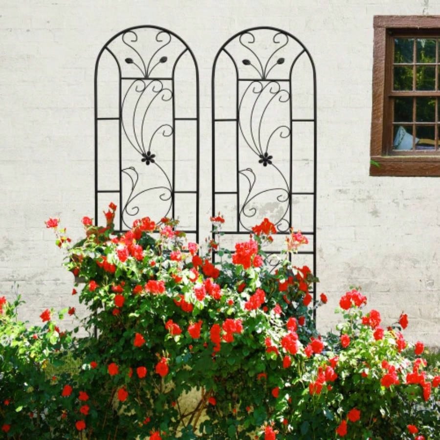 4 Pack Metal Garden Trellis 86. 19. Rustproof Trellis Climbing Plants Outdoor Flower Support Peacock Style Black