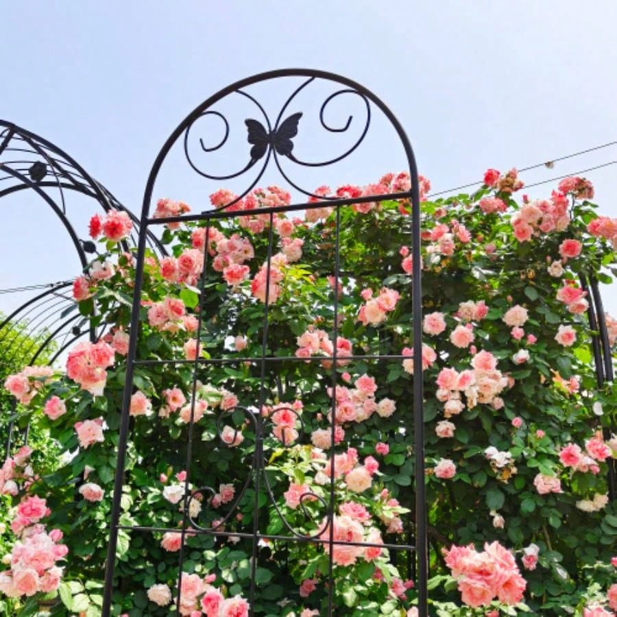 4 Pack Metal Garden Trellis 86. 19. Rustproof Trellis Climbing Plants Outdoor Flower Support Black