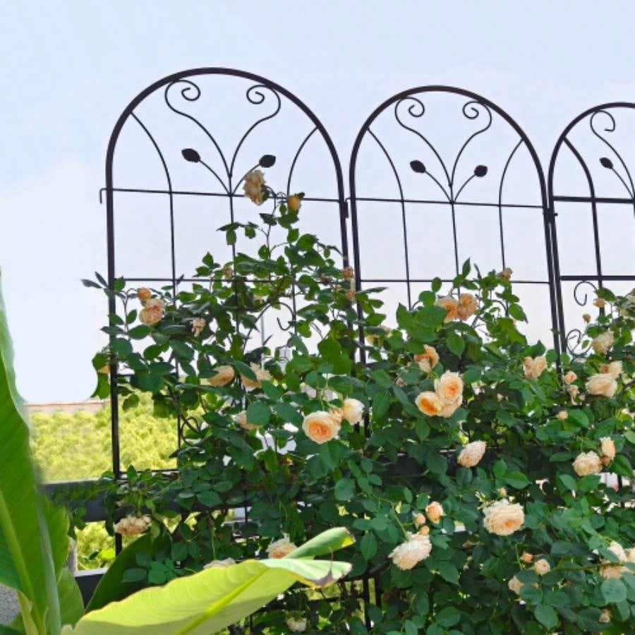 4 Pack Metal Garden Trellis 86. 19. Rustproof Trellis Climbing Plants Outdoor Flower Support Black