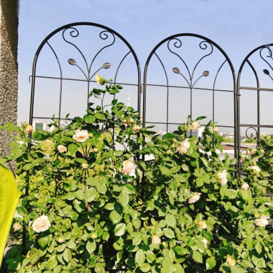 4 Pack Metal Garden Trellis 86. 19. Rustproof Trellis Climbing Plants Outdoor Flower Support Black