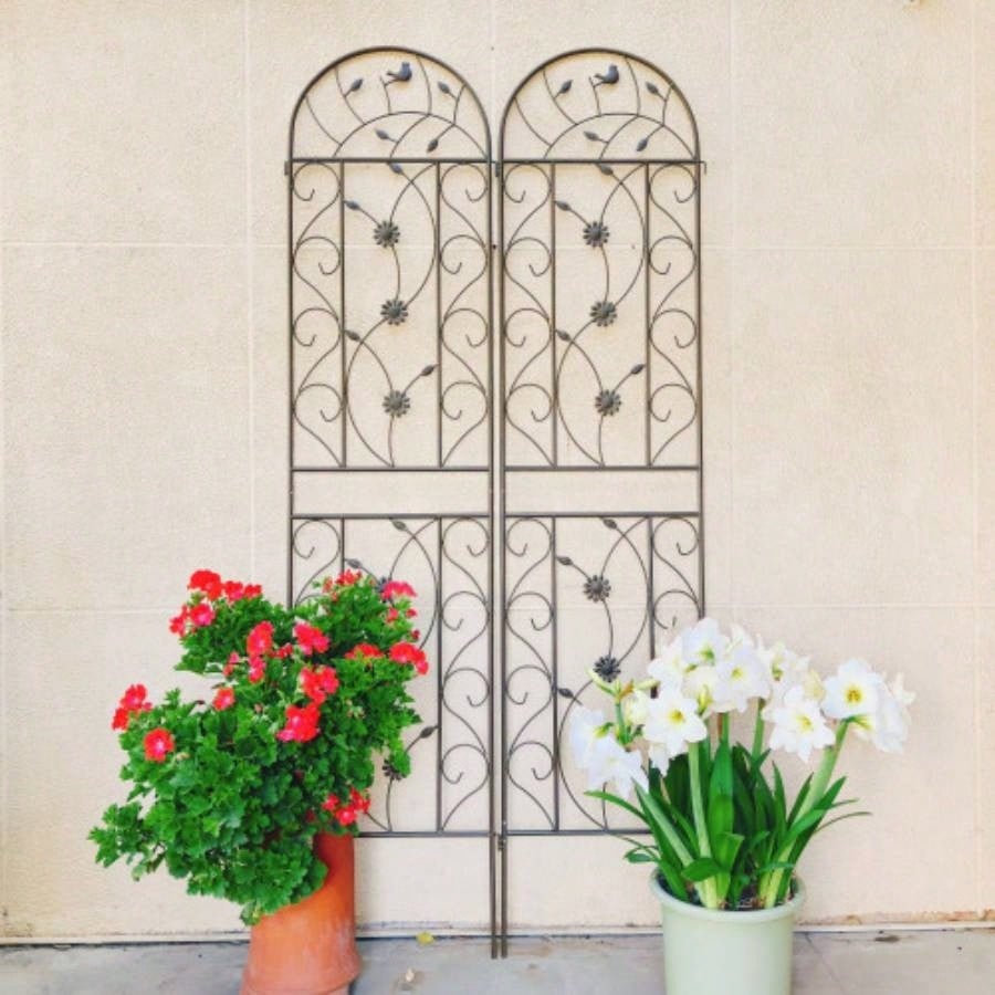 4 Pack Metal Garden Trellis 86. 19. Rustproof Trellis Climbing Plants Outdoor Flower Support Brown