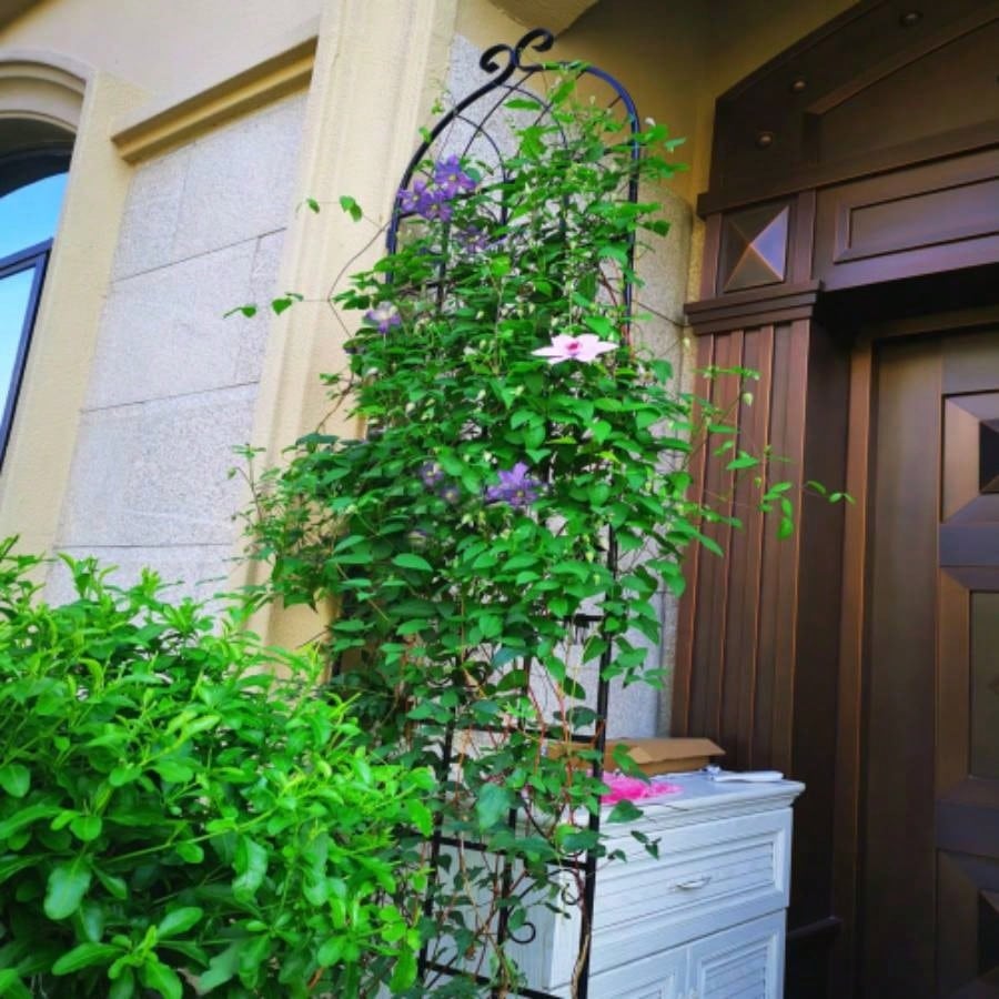 4 Pack Metal Garden Trellis 86. 19. Rustproof Trellis Climbing Plants Outdoor Flower Support Black
