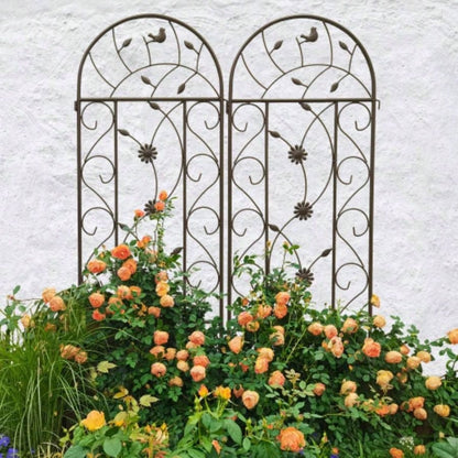 4 Pack Metal Garden Trellis 86. 19. Rustproof Trellis Climbing Plants Outdoor Flower Support Brown