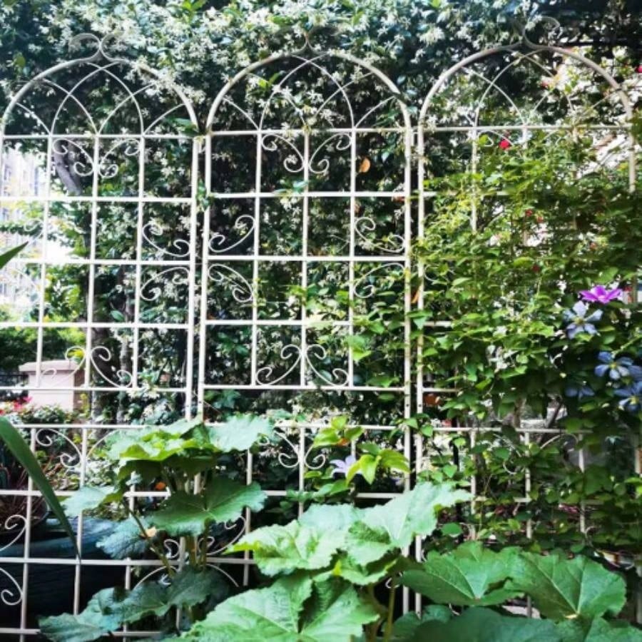 4 Pack Metal Garden Trellis 86. 19. Rustproof Trellis Climbing Plants Outdoor Flower Support Black