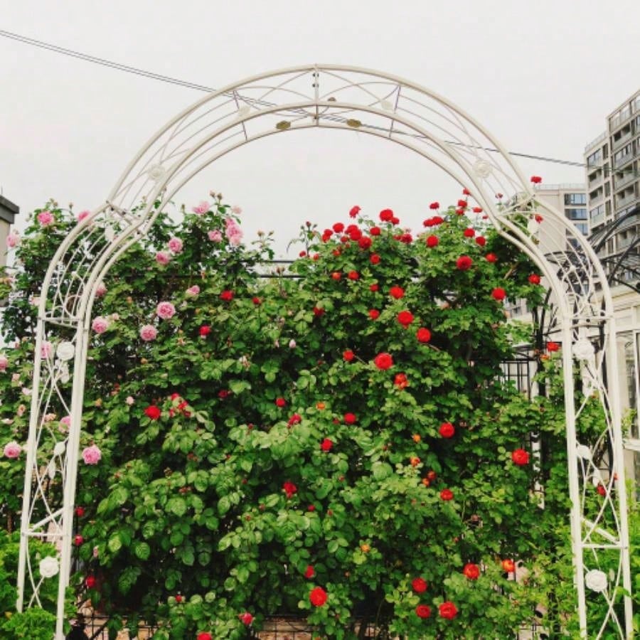 Metal Garden Arch Assemble Freely with 8 Styles Garden Arbor Trellis Climbing Plants Support Arch Outdoor Arch Wedding Arch Party Events Archway White