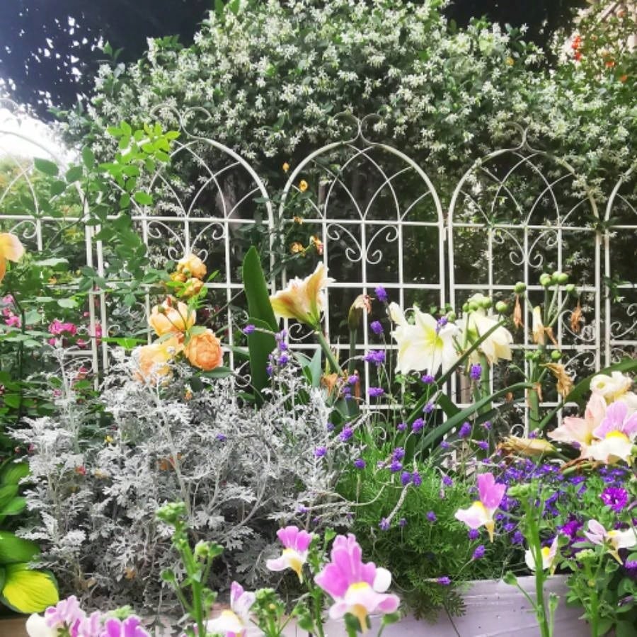 4 Pack Metal Garden Trellis 71x 19. Rustproof Trellis Climbing Plants Outdoor Flower Support White
