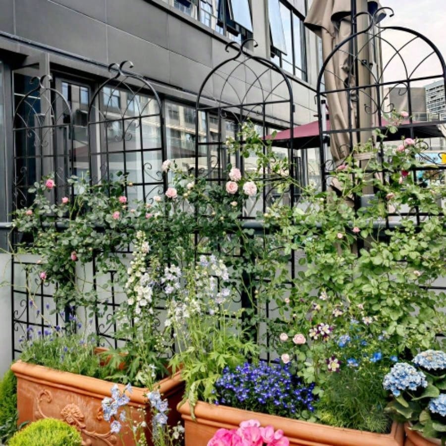 4 Pack Metal Garden Trellis 71x 19. Rustproof Trellis Climbing Plants Outdoor Flower Support Black