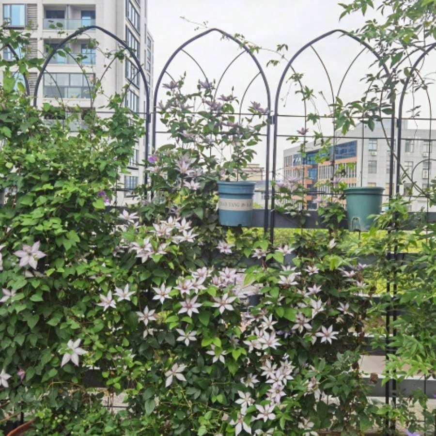 4 Pack Metal Garden Trellis 78. 19. Rustproof Trellis Climbing Plants Outdoor Flower Support Black