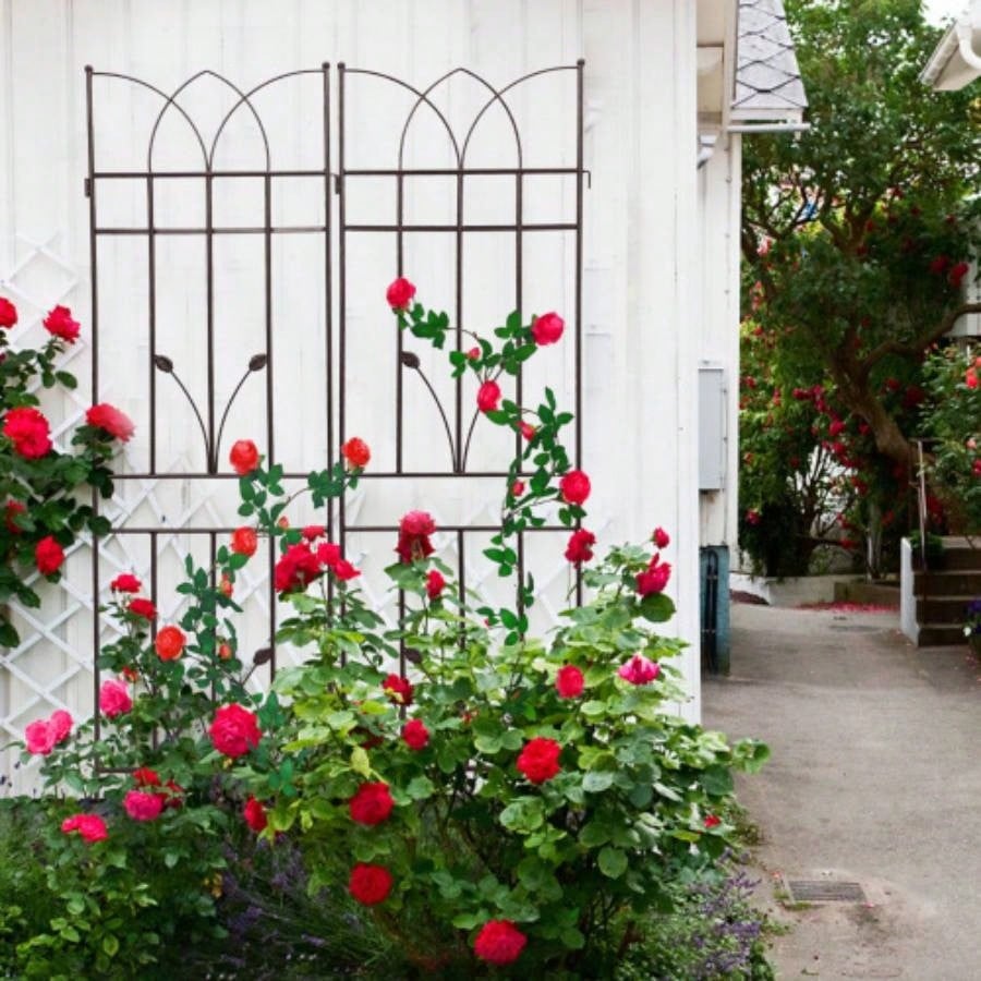 4 Pack Metal Garden Trellis 71x 17. Rustproof Trellis Climbing Plants Outdoor Flower Support Brown