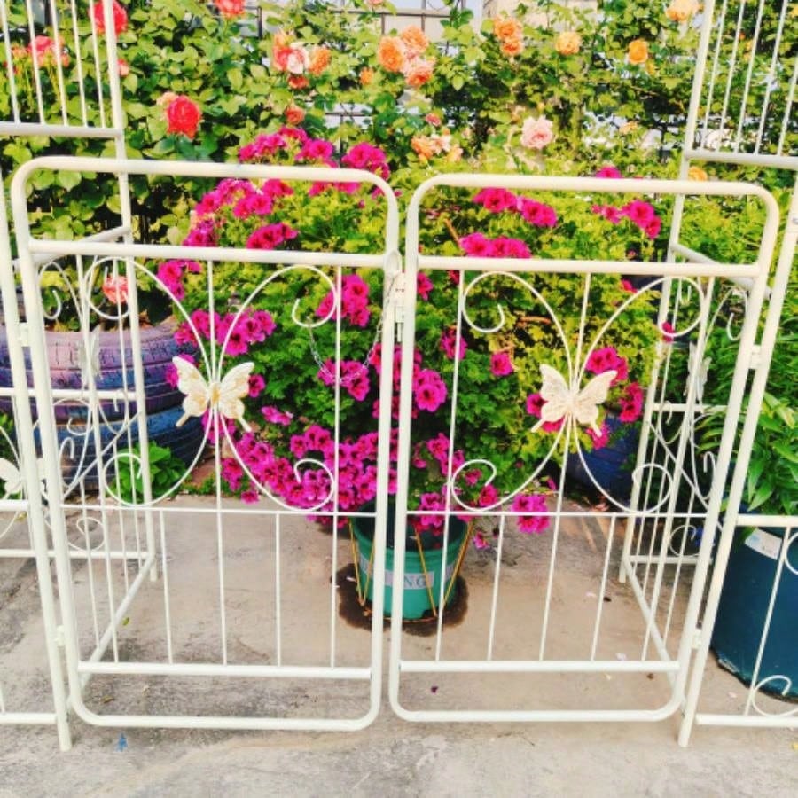Metal Garden Arch with Gate 79.5 Widex 86.6 High Climbing Plants Support Arch Outdoor White