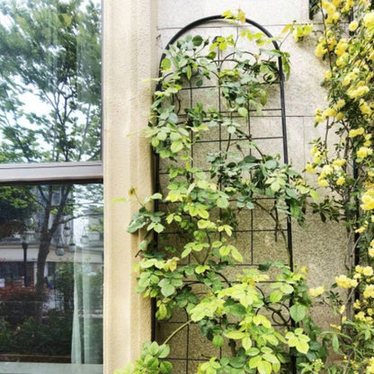 4 Pack Metal Garden Trellis Climbing Plants Outdoor 86. 19. Rustproof Plant Support Trellis Netting Trellis Black