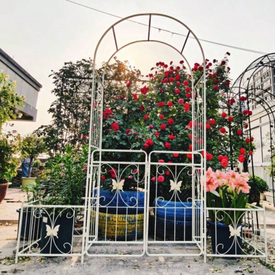 Metal Garden Arch with Gate 79.5 Widex 86.6 High Climbing Plants Support Arch Outdoor White