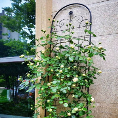 4 Pack Metal Garden Trellis Climbing Plants Outdoor 86. 19. Rustproof Plant Support Trellis Netting Trellis Black
