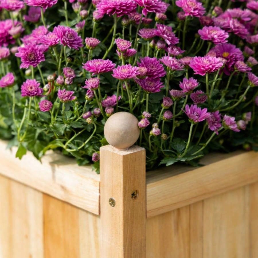 Outsunny Wooden Raised Garden Bed with Trellis, Outdoor Planter Box with Drainage Crevices Climbing Vine Plants Flowers, 12x 12x 49