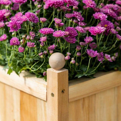 Outsunny Wooden Raised Garden Bed with Trellis, Outdoor Planter Box with Drainage Crevices Climbing Vine Plants Flowers, 12x 12x 49