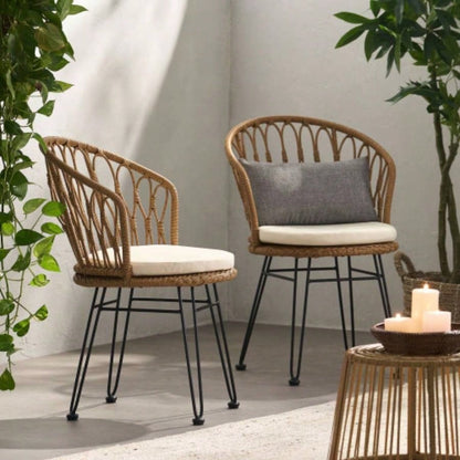 TERRY CHAIR, 2PCS with 2 Cushions, Gray