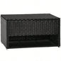 Outsunny Outdoor Deck Box Shoe Storage, PE Rattan Wicker Towel Rack with Liner Indoor, Outdoor, Patio Furniture Cushions, Pool, Toys, Garden Tools, Black