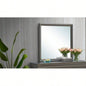 Lorana G6590 - Chest, Silver Champagne