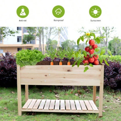 Raised Garden Bed Planter Box with Storage Shelf Wooden Elevated Vegetable Growing Bed Flower/Herb/Backyard/Patio/Balcony 48.5x30x24.4incolourless