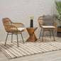 Rodney Woven Faux Rattan Chairs with Cushions Set of 2