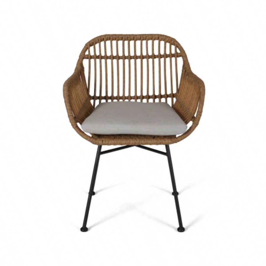 Rodney Woven Faux Rattan Chairs with Cushions Set of 2