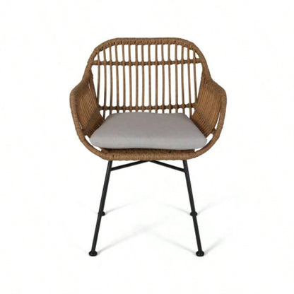 Rodney Woven Faux Rattan Chairs with Cushions Set of 2
