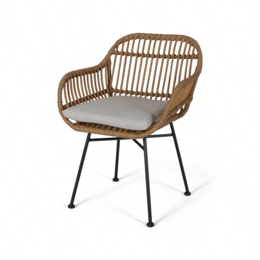 Rodney Woven Faux Rattan Chairs with Cushions Set of 2