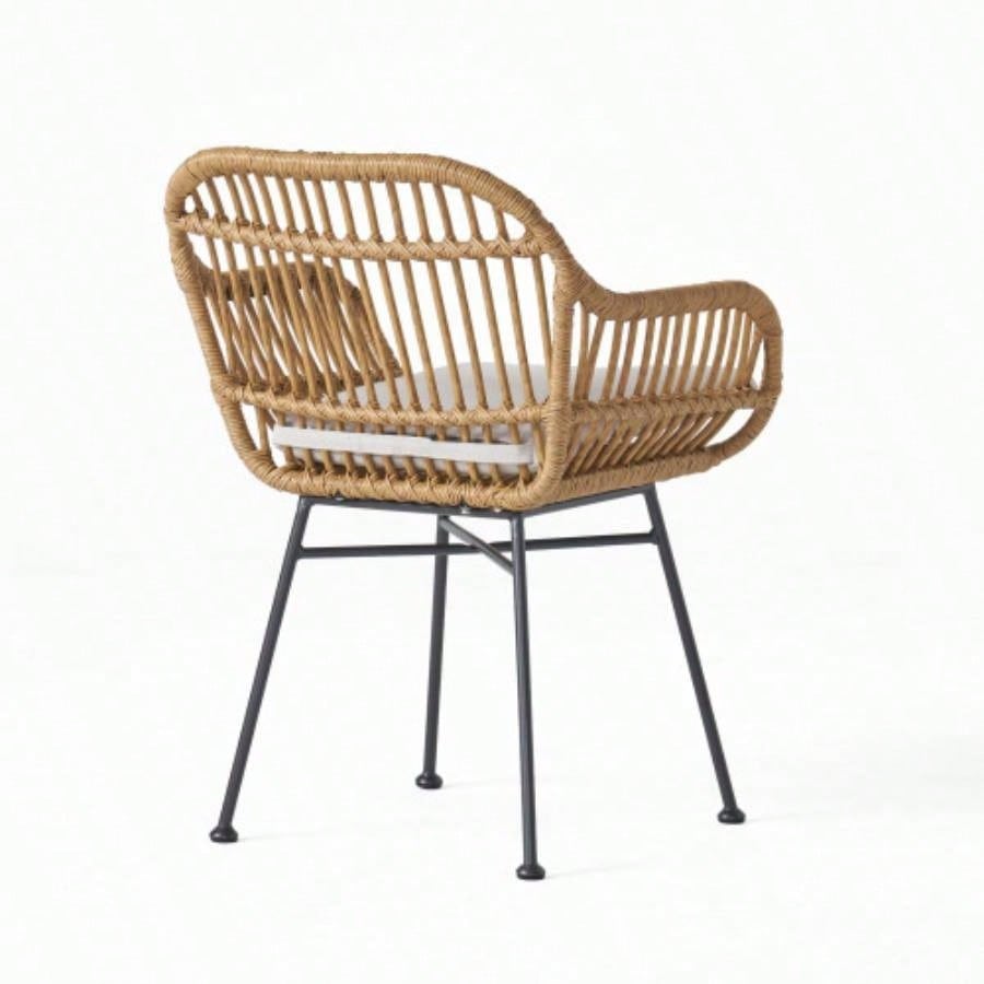 Rodney Woven Faux Rattan Chairs with Cushions Set of 2
