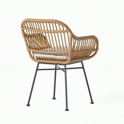 Rodney Woven Faux Rattan Chairs with Cushions Set of 2