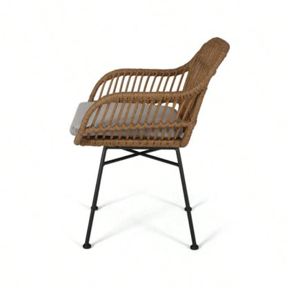 Rodney Woven Faux Rattan Chairs with Cushions Set of 2