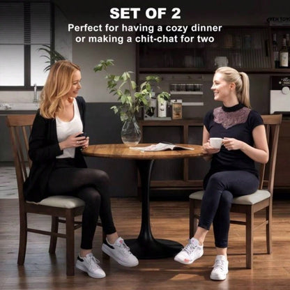 Dining chair, Popular styles for  2025 year