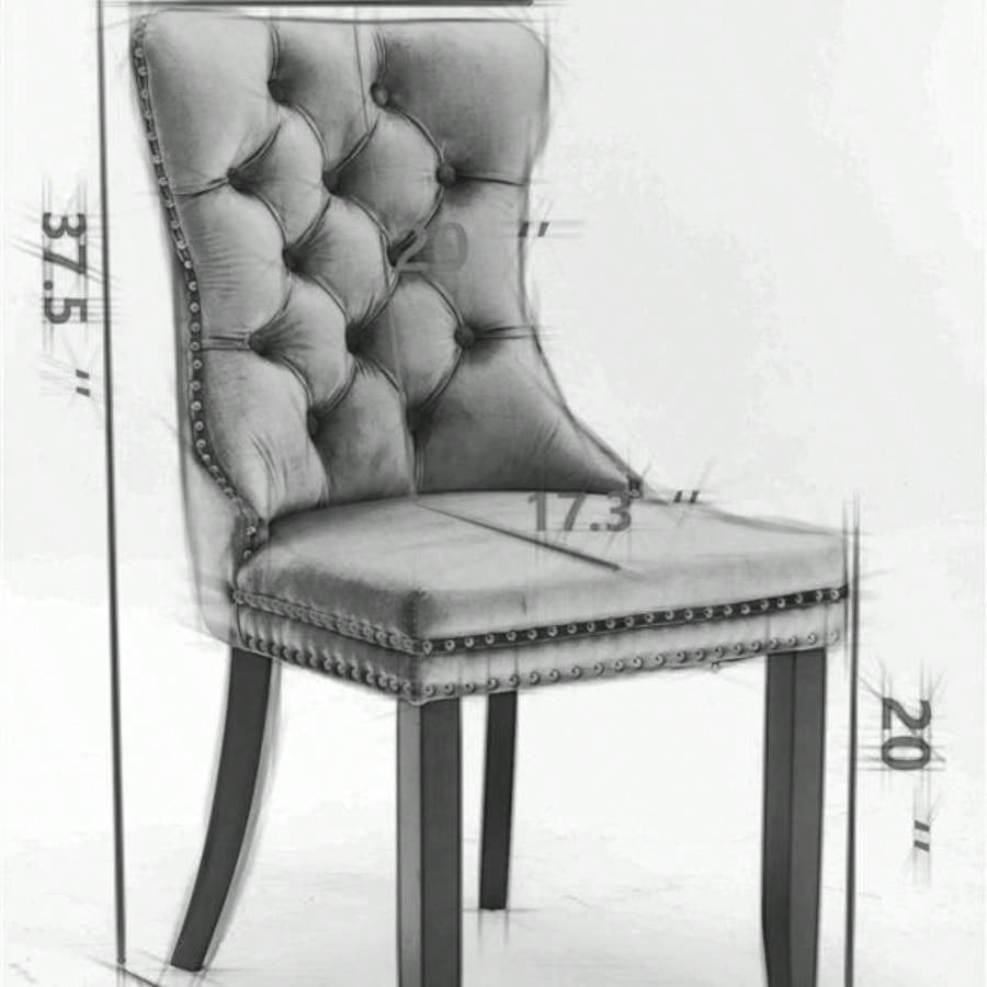 Modern, High - end Tufted Solid Wood Contemporary Velvet Upholstered Dining Chair with Wood Nailhead Trim 2 - Pcs Set, Blue