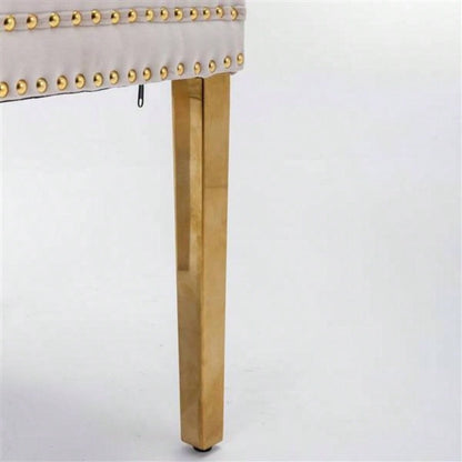 Furniture, Modern, High - end Tufted Solid Wood Contemporary Velvet Upholstered Dining Chair with Golden Stainless Steel Plating, Nailhead Trim, Set of 2, Beige and Gold