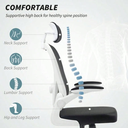Office Chair/Massage Office Chair
