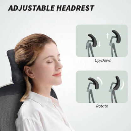 Office Chair/Massage Office Chair