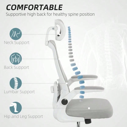 Office Chair/Massage Office Chair