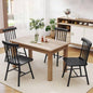 Dining chair, Popular styles for  2025 year