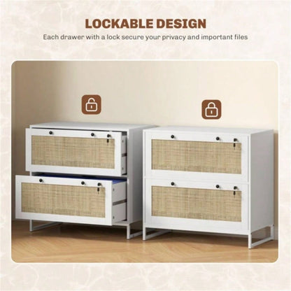 File Cabinet/ Storage cabinet Prohibited by