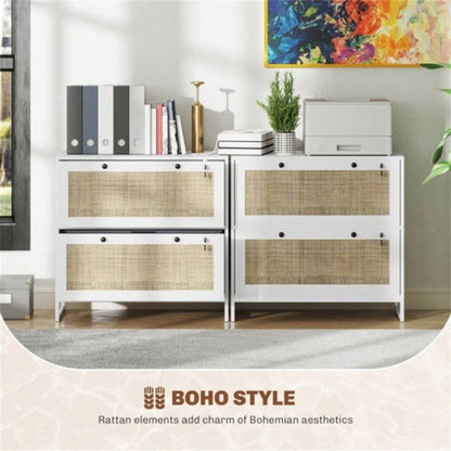 File Cabinet/ Storage cabinet Prohibited by