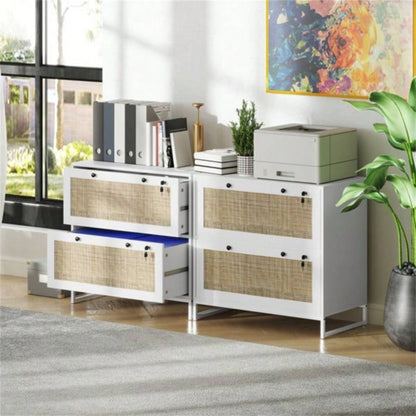 File Cabinet/ Storage cabinet Prohibited by