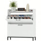 Shoe Cabinet, Popular styles for  2025 year