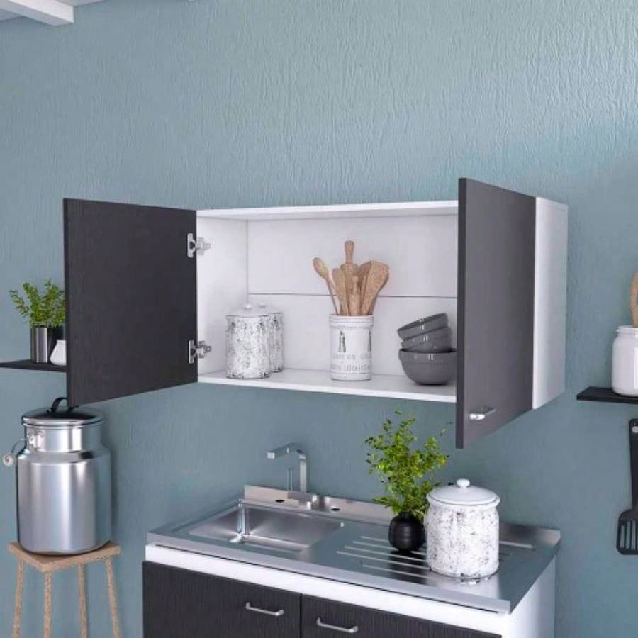 Wall Cabinet, Two Doors