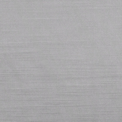 Pleat Curtain Panel with Tieback Single Silver 52x96