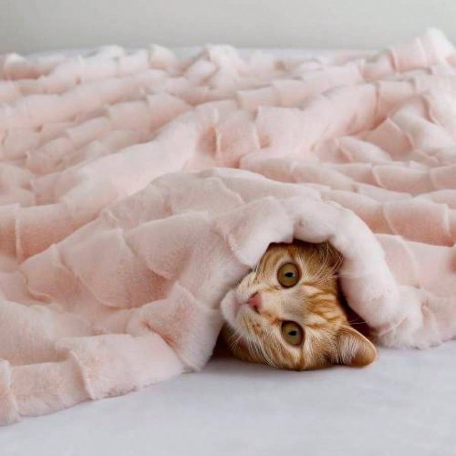 1 PC 50x60 Faux Fur Throw Pink