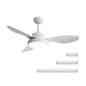 47 Inch Ceiling Fan with 22W LED Light and Remote Control 6 Speeds Reversible DC Motor White for Living Room Bedroom