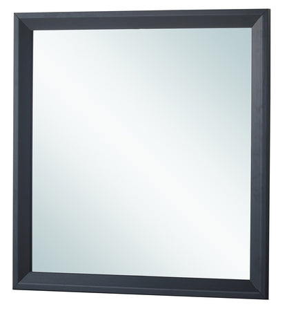 Black Vanity Mirror - 36" Wide Storage Mirror