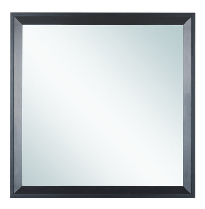 Black Vanity Mirror - 36" Wide Storage Mirror