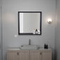 Plains Medicine Cabinet 23.6" H, 1 Shelf, 1 Mirror, Black Wengue - Bathroom